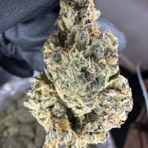 Buy Peanut Butter Runtz Strain