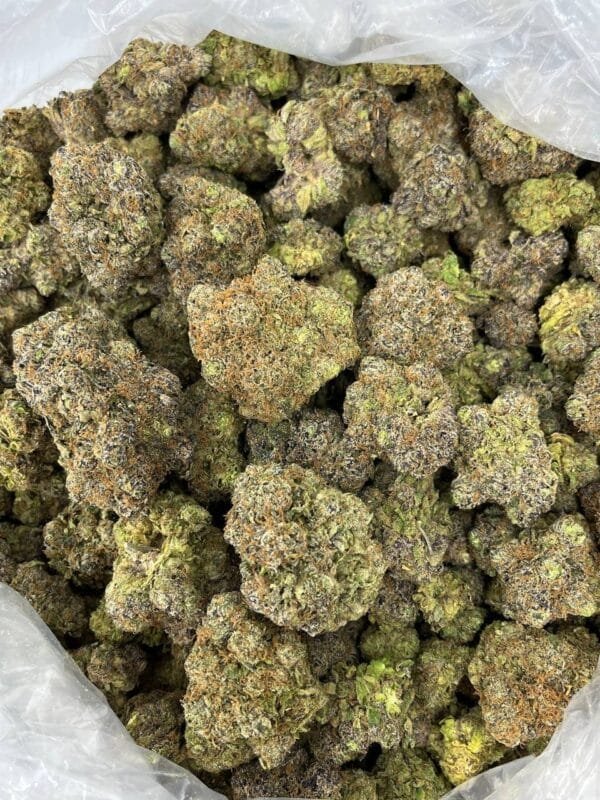 Obama Runtz Strain | Obama Runtz Strain For Sale