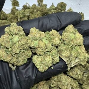 Pineapple Runtz Strain | Buy Pineapple Runtz Strain