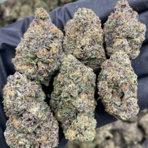 Guava Runtz Strain | Guava Runtz Strain For Sale