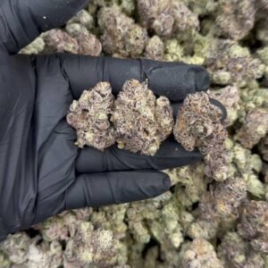 LA Pop Rocks Strain | LA Pop Rocks Strain For Sale