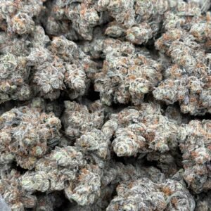 Buy Jelly Donut Strain