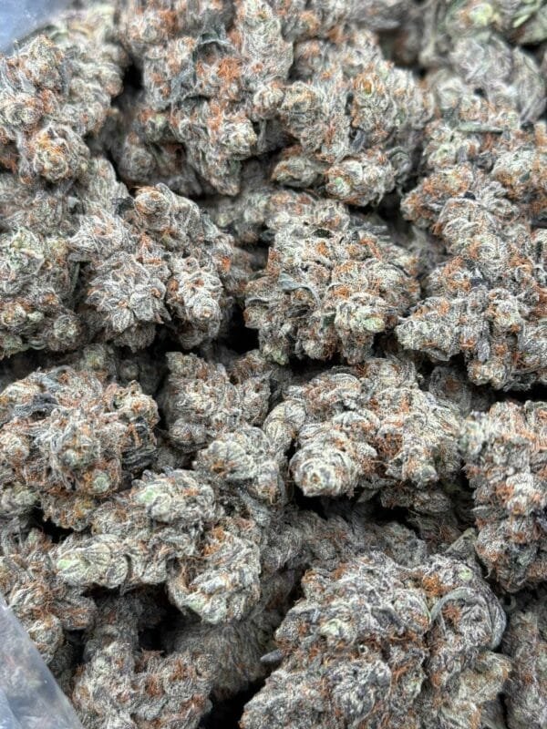 Buy Jelly Donut Strain