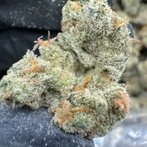 Iceballz Strain | Iceballz Weed | Iceballz Strain For Sale