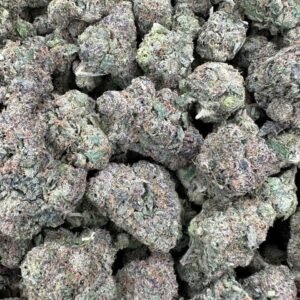 Jet Fuel Gelato Strain | Jet Fuel Gelato Weed Strain