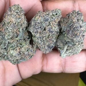 Jet Fuel Gelato Strain | Jet Fuel Gelato Weed Strain