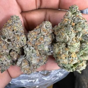 Blue Meteorite Strain | Blue Meteorite Weed Strain