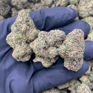 Watermelon Gelato Strain | Watermelon Gelato Weed Strain