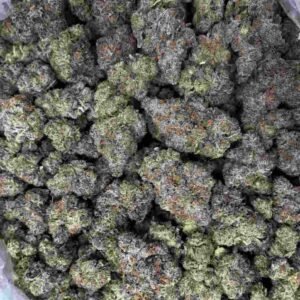 BLACK JACK STRAIN | BLACK JACK WEED STRAIN