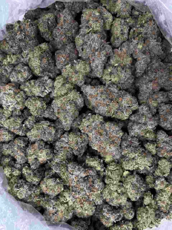 BLACK JACK STRAIN | BLACK JACK WEED STRAIN