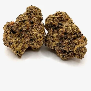 GUMBO POP STRAIN | GUMBO POP