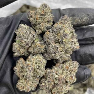 Midnight Runtz Strain | Midnight Runtz Strain For Sale