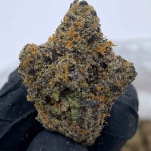 Orange Crush Strain | Orange Crush Weed Strain