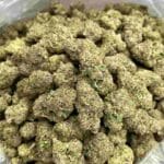 Rainbow Larry Strain | Rainbow Larry Weed Strain