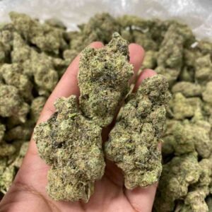 Christmas Tree Strain | Christmas Tree Weed Strain