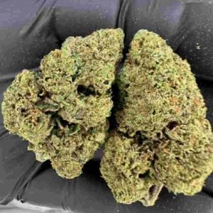 Mandarin Cookies Strain | mandarin cookie strain