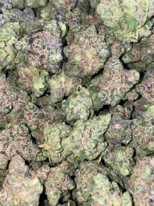 Candy Gas Strain | Candy Gas Weed Strain