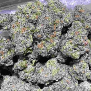 Blue Raspberry Strain | Blue Raspberry Weed Strain