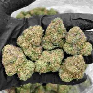 Gorilla Cake Strain | Gorilla Cake Weed Strain