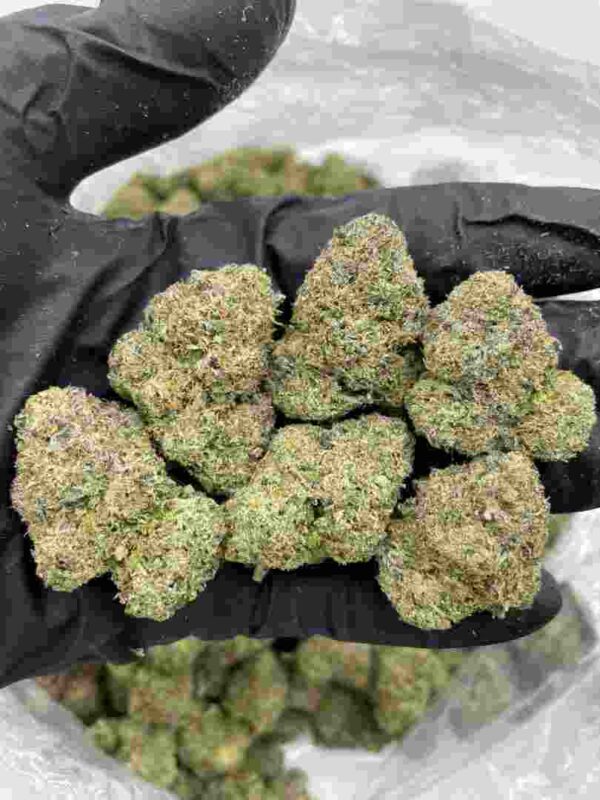 Gorilla Cake Strain | Gorilla Cake Weed Strain