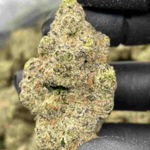 Mexican Haze Strain | Mexican Haze Weed Strain