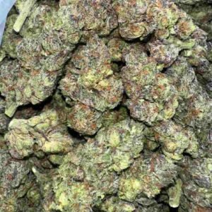 Zotti Strain | Zotti Weed Strain