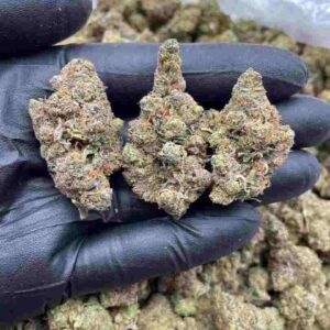 Mimosa Strain | Mimosa Weed Strain | Mimosa Strain Effects