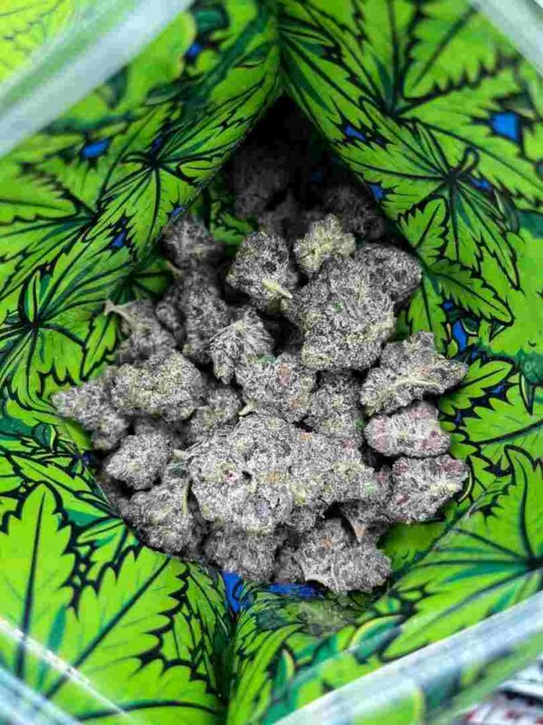 Blue Cheese Strain | Blue Cheese Weed Strain