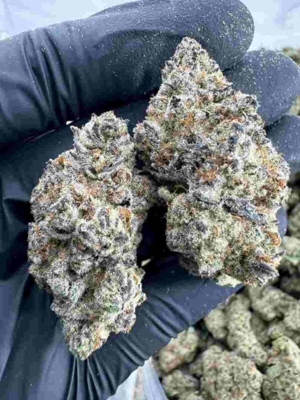 Bubba Kush Strain | Bubba Kush Weed Strain