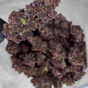 Cherry Pie Strain | Cherry Pie Weed Strain