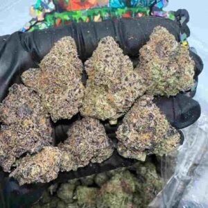 Tropicana Cookies Purple Strain | Tropicana Cookies Purple Weed Strain