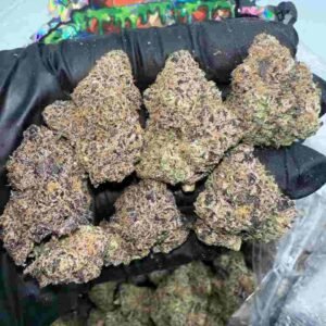 Tropicana Cookies Purple Strain | Tropicana Cookies Purple Weed Strain