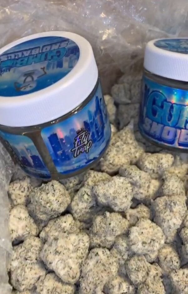 Fly Trap Gumbo Sno Balls Weed 80% Thc