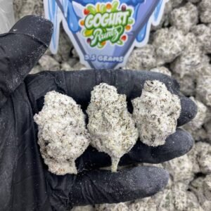 Gogurt Runtz Snow Caps 1 Ounce | Gogurt Runtz Snow Caps Weed